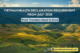 Vietnam Health Declaration Requirement From July 2026: What Travelers Need To Know