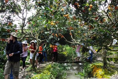 Me Kong 2 天大团之游